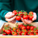 images (9)