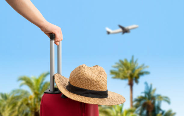istockphoto-1497396873-612x612