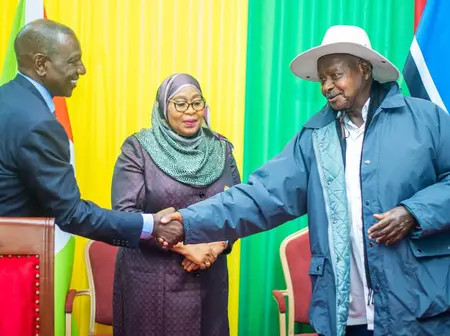 CHAN 2024: How Kenya, Tanzania, Uganda, performances & rewards compare
