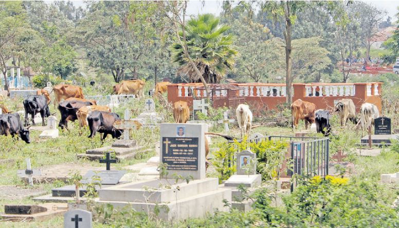 No peace for the dead: vandalism and neglect dogs Lang’ata Cemetery
