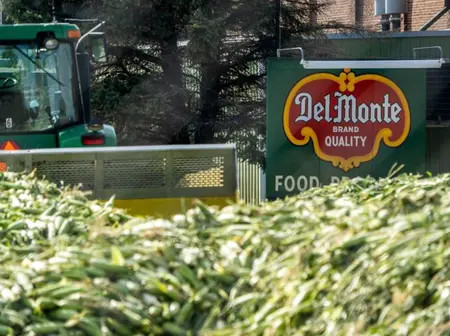 One Person Killed in Del Monte Farm Attack
