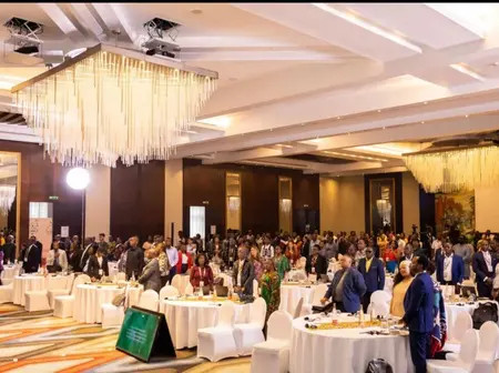 OPINION: Economic Diplomacy should embrace African justice movements