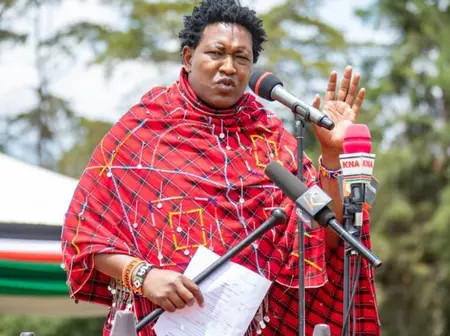 Senator Olekina Calls For Urgent Oversight Summit, Slams Devolution Conference