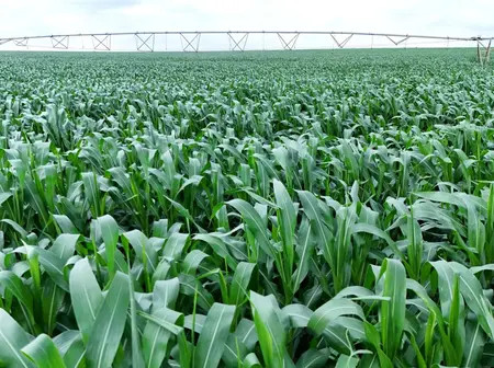 Galana-Kulalu Irrigation Project Gets Sh12.5B PPP Boost
