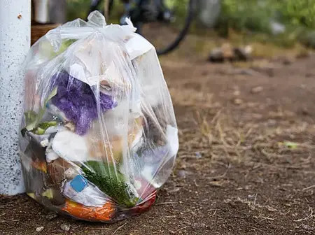 How To Prevent Littering