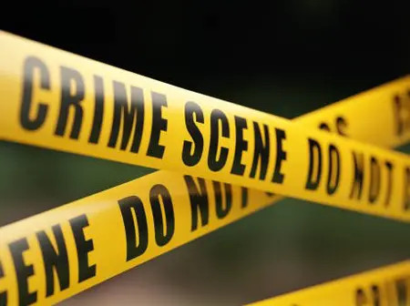 CCTV Captures Daring Daylight Break-In at Mwihoko Apartment