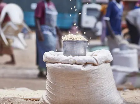 Maize Prices Hit 20-Month High Amid Supply Shortages And Rising Demand