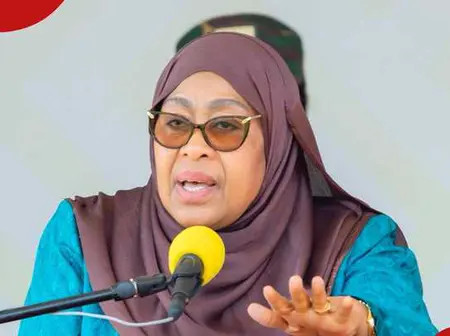 Tanzania Introduces KSh 11k Levy to Foreigners Travelling in, out of the Country