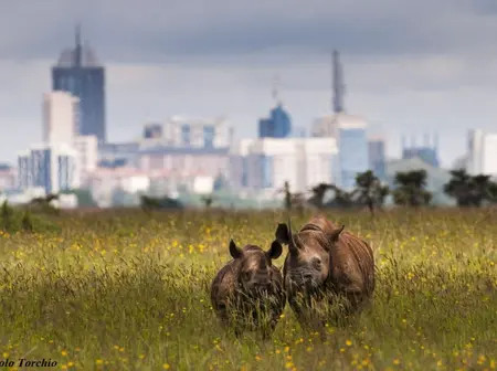 Kenyan Affordable Housing Projects Advance With EIB Global Support