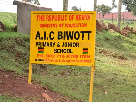 Teachers with B.Ed (Primary option) disqualified from junior school jobs