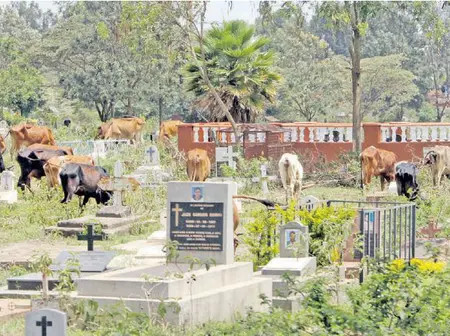 Veteran Entertainer MC Fullstop to Be Laid to Rest at Lang’ata Cemetery
