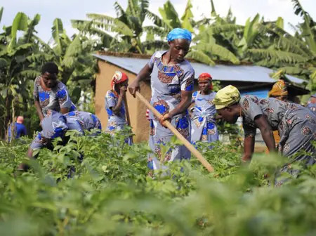 Empowering women through financial literacy: a catalyst for inclusion