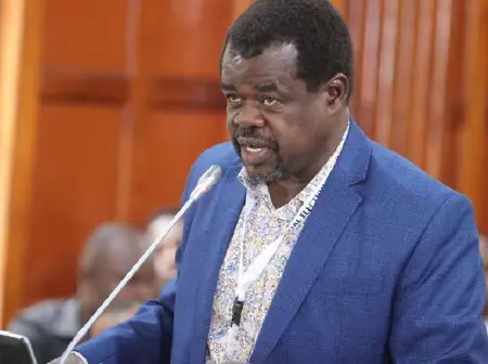 Senator Omtatah Rejects Legal Threats Over Senate Remarks on Rice Importation