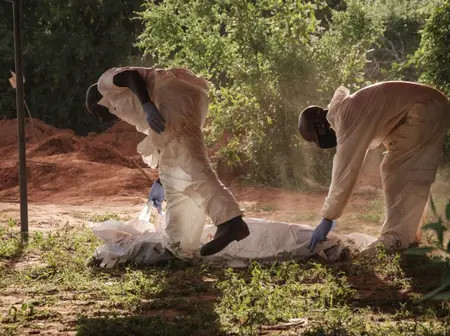 11 arrested over Kwa Binzaro cult deaths in Kilifi