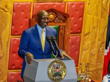 Why Senators Want Ruto Summoned
