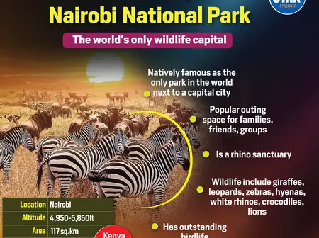 Know Kenya: Nairobi National Park