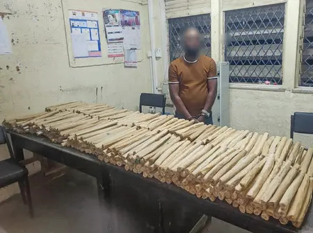 Suspect Nabbed in 90kg Cannabis Bust at Changamwe Roundabout.