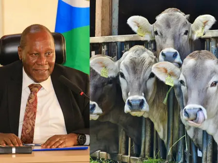Kitui Governor Backs New $39.8m Youth Livestock Initiative