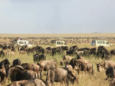 Kenya’s Tourism Gets a Digital Overhaul with TouristTap: Smartphones, Card Payments, and a Cash-Free Experience