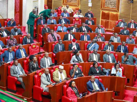 The National Assembly passes the National Police Service Commission (Amendment) Bill (National Assembly Bill No. 23 of 2024)
