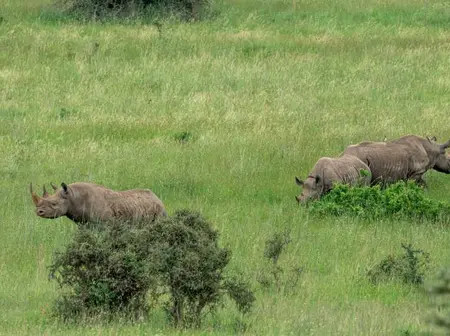 World Tourism Day: Free entry for Kenyans to 34 parks, reserves