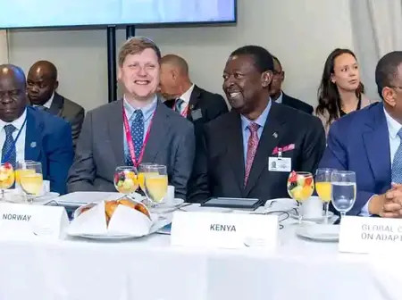 Climate change: Mudavadi calls for urgent investment