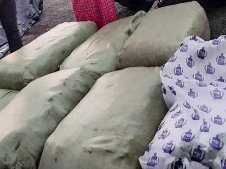 Police arrest suspects in drug trafficking bust at soko Mjinga