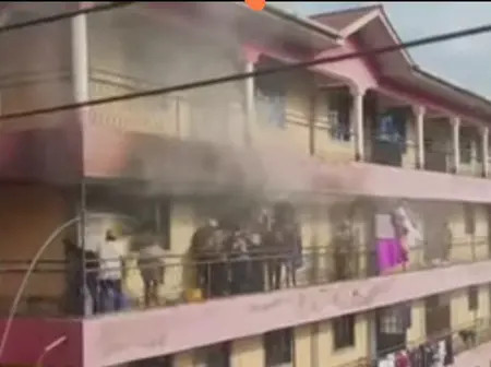 Woman dies as mission to eradicate bedbugs turns tragic in Kisii