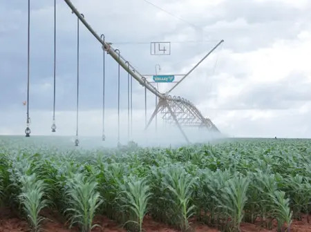 Galana-Kulalu Gains Momentum as Govt and Investors Drive Food Security