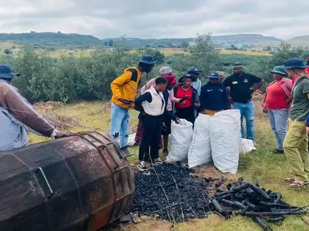 Black wattle as firewood: How South African communities are putting invasive species to work