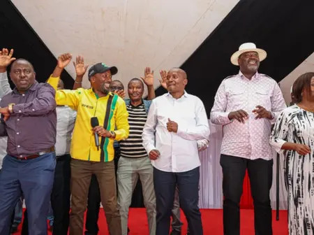 UDA settles on one candidate for Mbeere North by-election