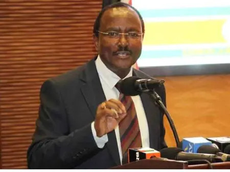 Kalonzo dismisses allegations of secret government talks as ‘foolishness’