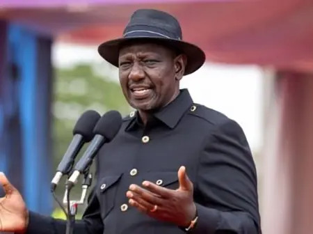Uproar as Ruto Linked to Construction of State Lodge in Imenti Forest