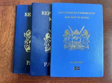 Kenya’s passport slips in global power index but still tops East Africa