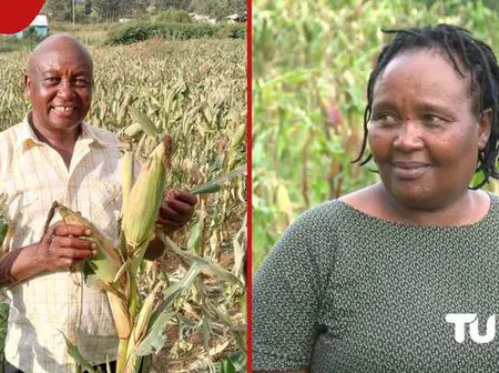 How Solai Dam Tragedy Survivors Are Rebuilding Their Lives and Restoring Farms for Agriculture