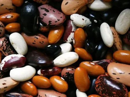 A Look At The Current Prices Of Various Bean Varieties In Kenya