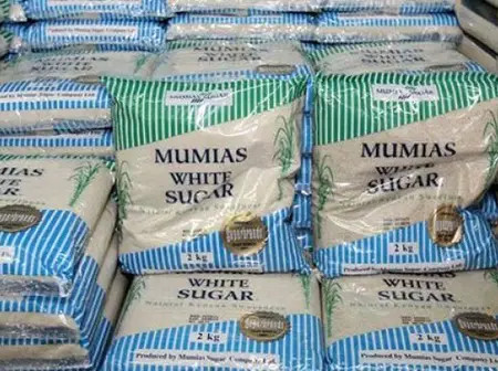 Sugar Production Falls 16% in the First Half of 2025