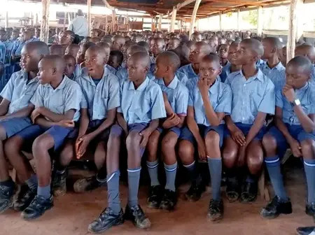 Knec releases 2025 Grades 3,4,5,7,8 term three SBA written tests