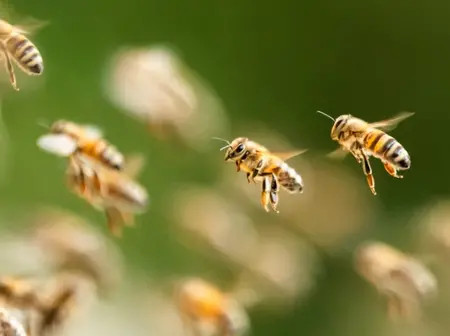 School children, teacher hospitalised after attack by bees in Embu