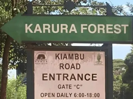Govt Calms Angry Kenyans Over Viral Karura Forest Petition