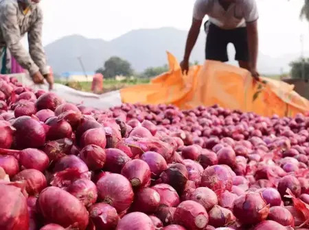 Onion value addition: A blossoming venture transforming Kenyan farmers