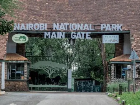 Visiting Kenya’s Parks? These Are the New Entry Fees Effective October 2025