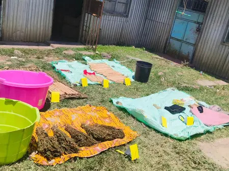 Bhang worth Sh12m seized in Kisumu as NACADA cracks drug network