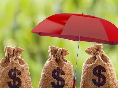 In the Game of Building Wealth, The Real Flex is Margin
