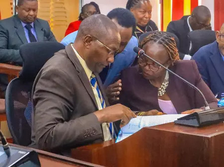 Senators grill Nyandarua Governor on ECDE, TVET status