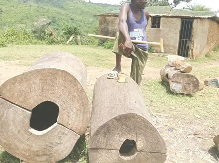 Hive master: West Pokot artisan buzzes with success