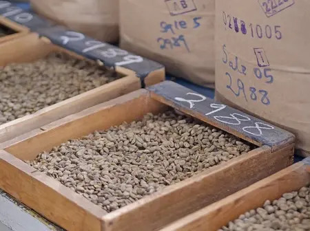 Coffee Prices Up 3% at the Weekly Auction