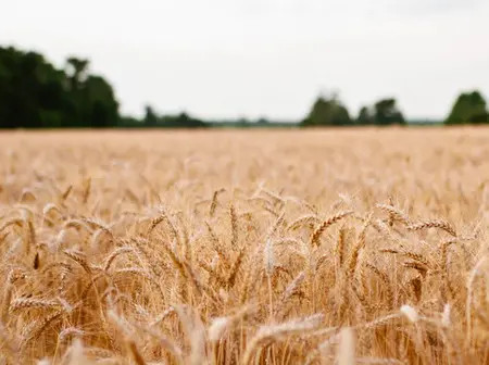 Government Pushes Nutrition Drive To Power Health And Trade