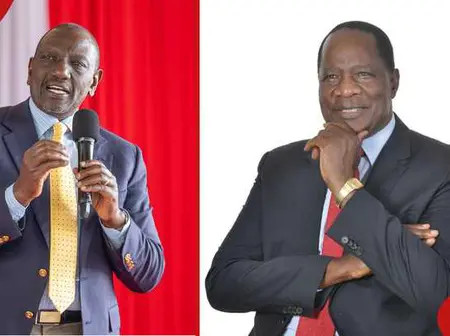 Dalmas Otieno: William Ruto Pens Touching Tribute to Late Rongo MP