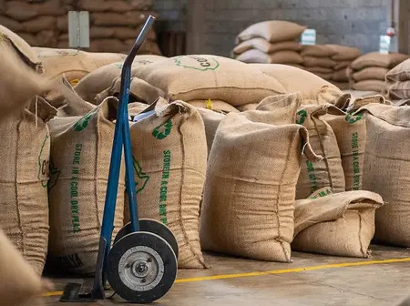 5 Dealers Dominate Nairobi Coffee Exchange
